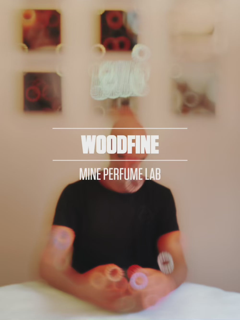 Woodfine IT