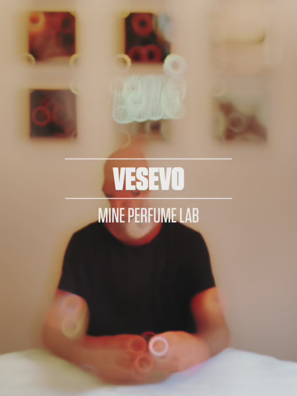 Vesevo IT