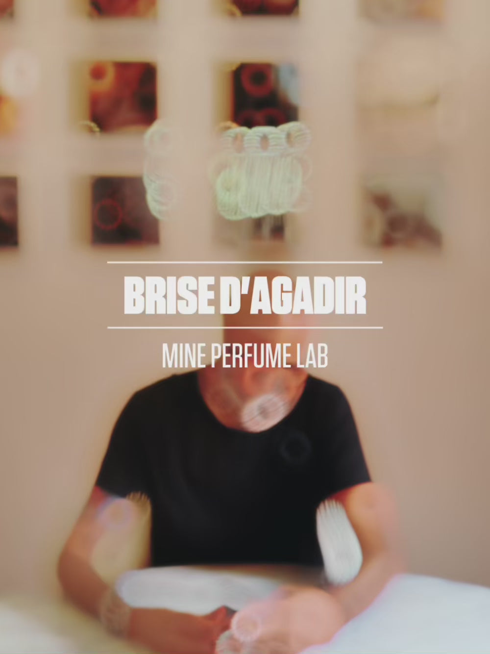 Brise IT
