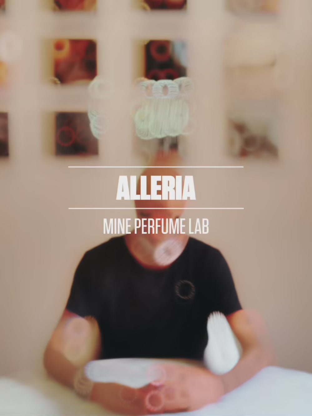 Alleria IT